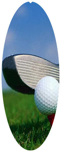 DNSA18-344 Gone Golfing (Club)